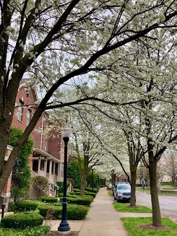 1215 West 33rd Street Chicago, IL 60608 - Photo 32 of 33