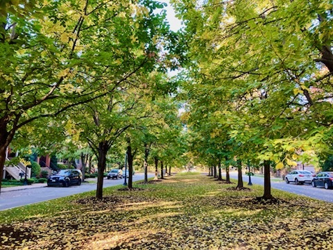 1215 West 33rd Street Chicago, IL 60608 - Photo 33 of 33