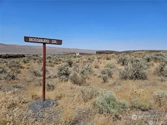 a view of a dry yard with wooden fence