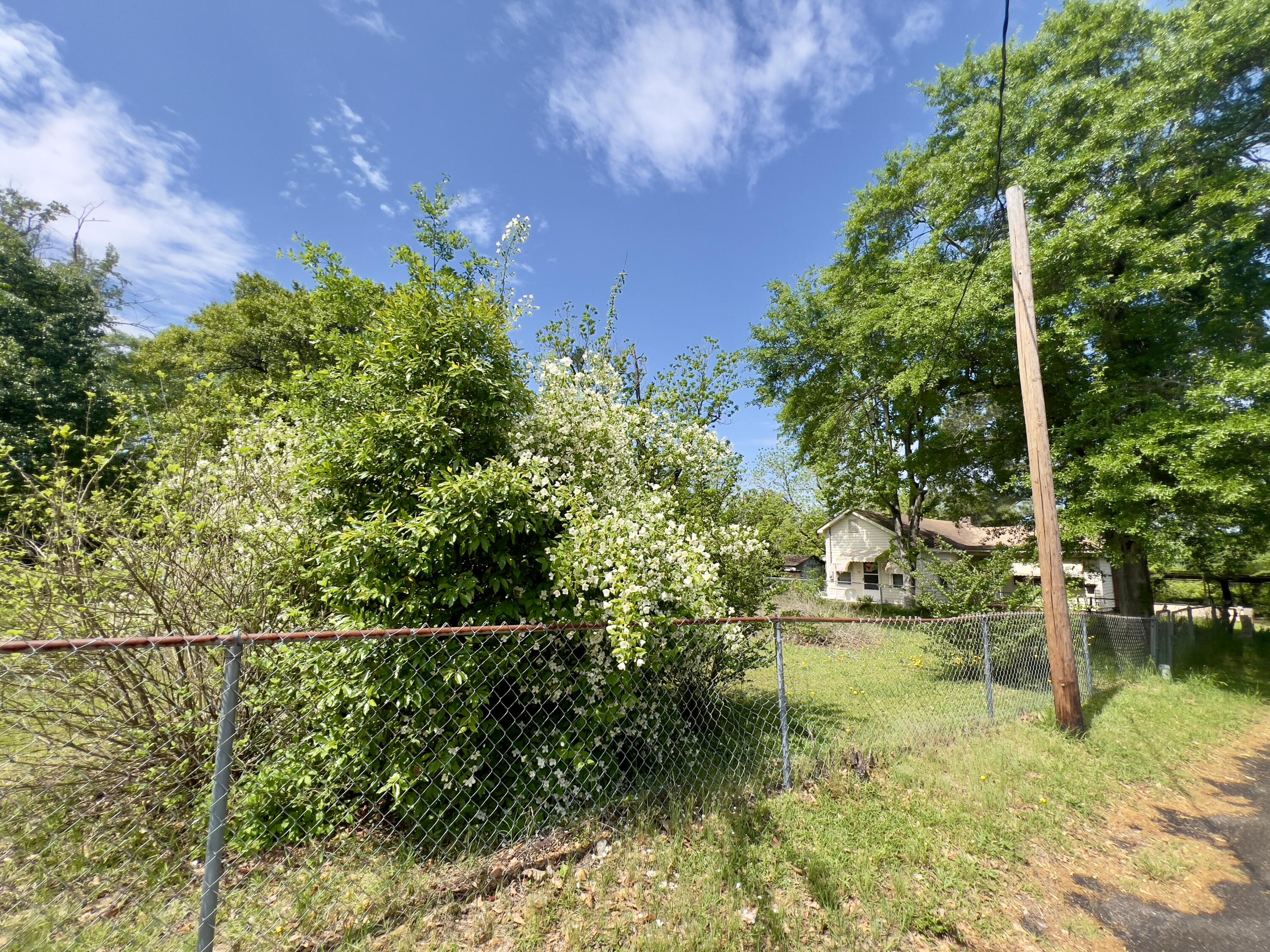 163 Old Chavous Road Beech Island, SC 29842 - Photo 6 of 16