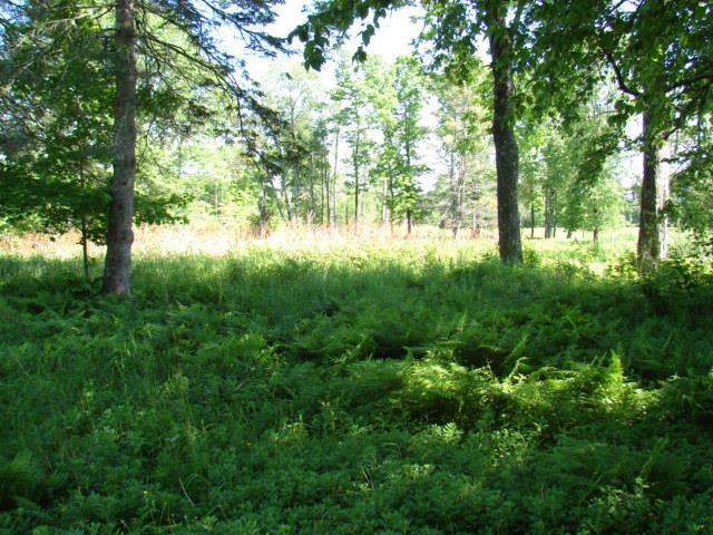 1420 East Madison Road Madison, ME 04950 - Photo 4 of 4 Photo