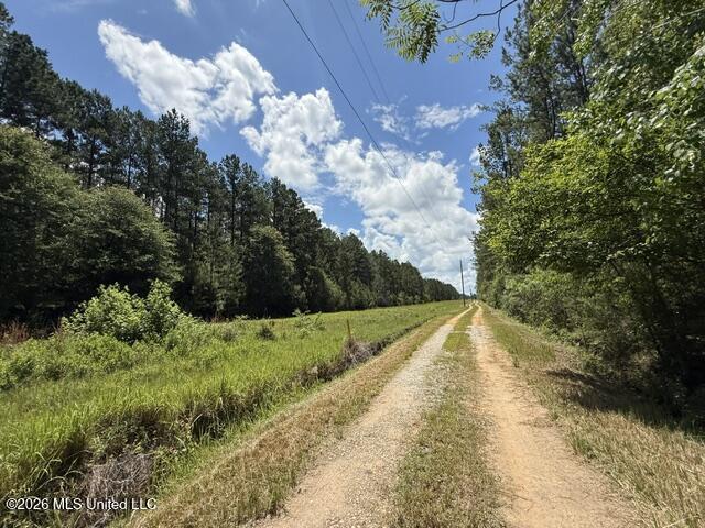 Elmer Hamilton Road Road Moss Point, MS 39562 - Photo 19 of 27 IMG_4848