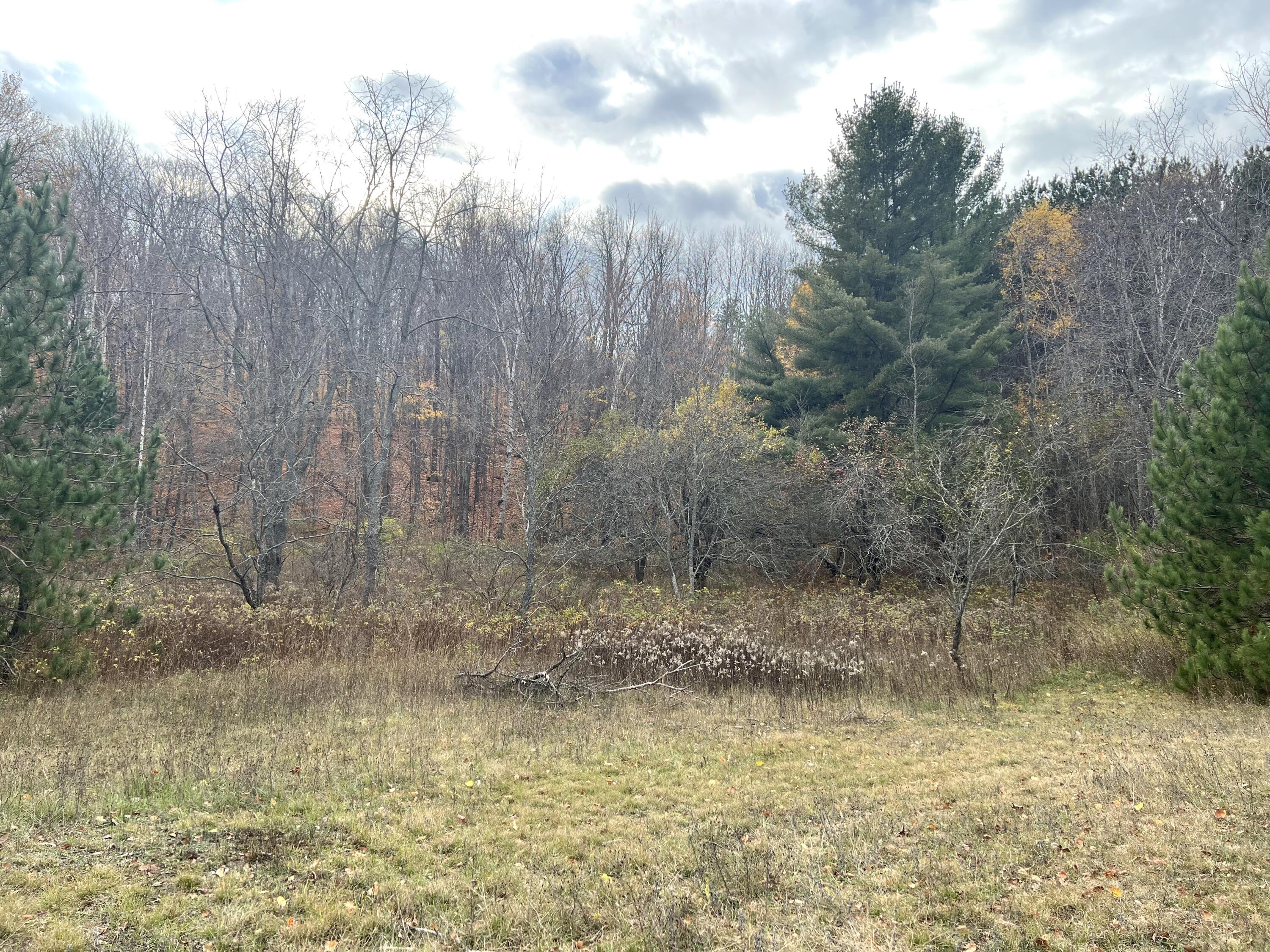 2768 Division Road Pellston, MI 49769 - Photo 6 of 15 Gallery Image 6