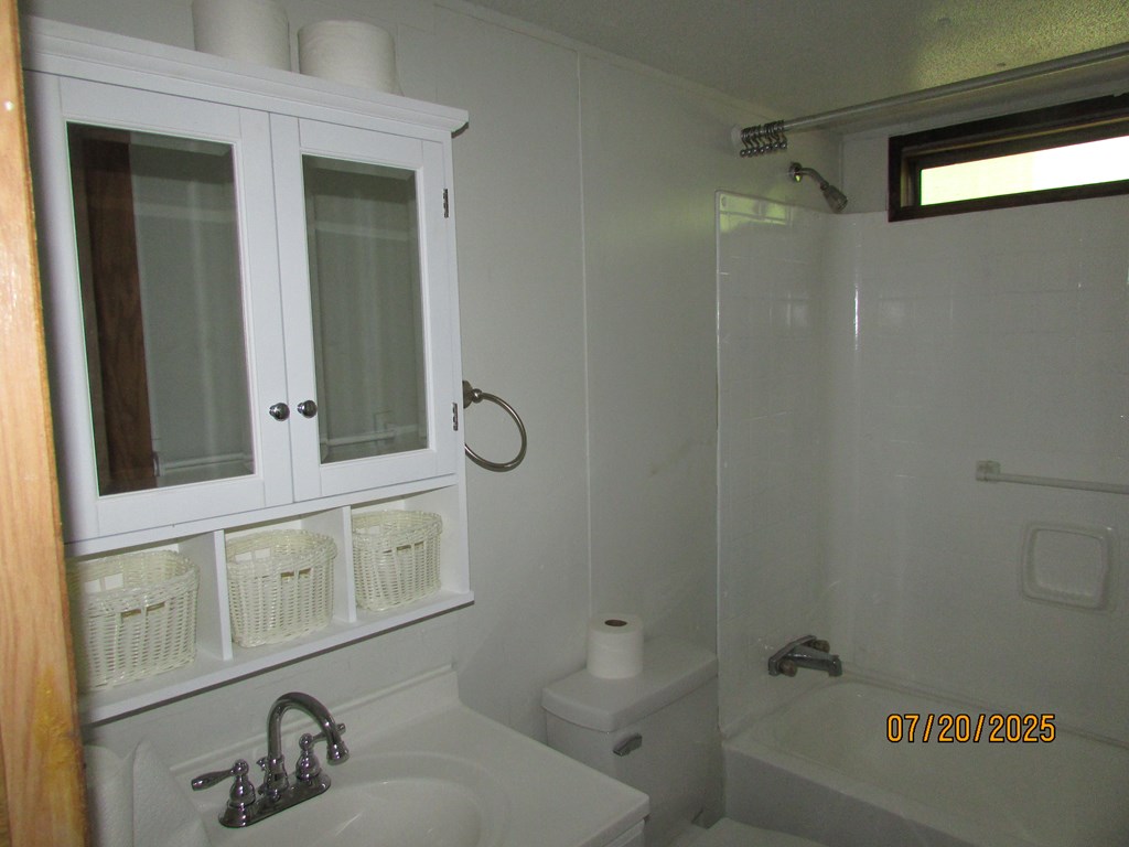 1444 Abe Cove Road Hiawassee, GA 30546 - Photo 16 of 25 a bathroom with a sink a toilet and shower