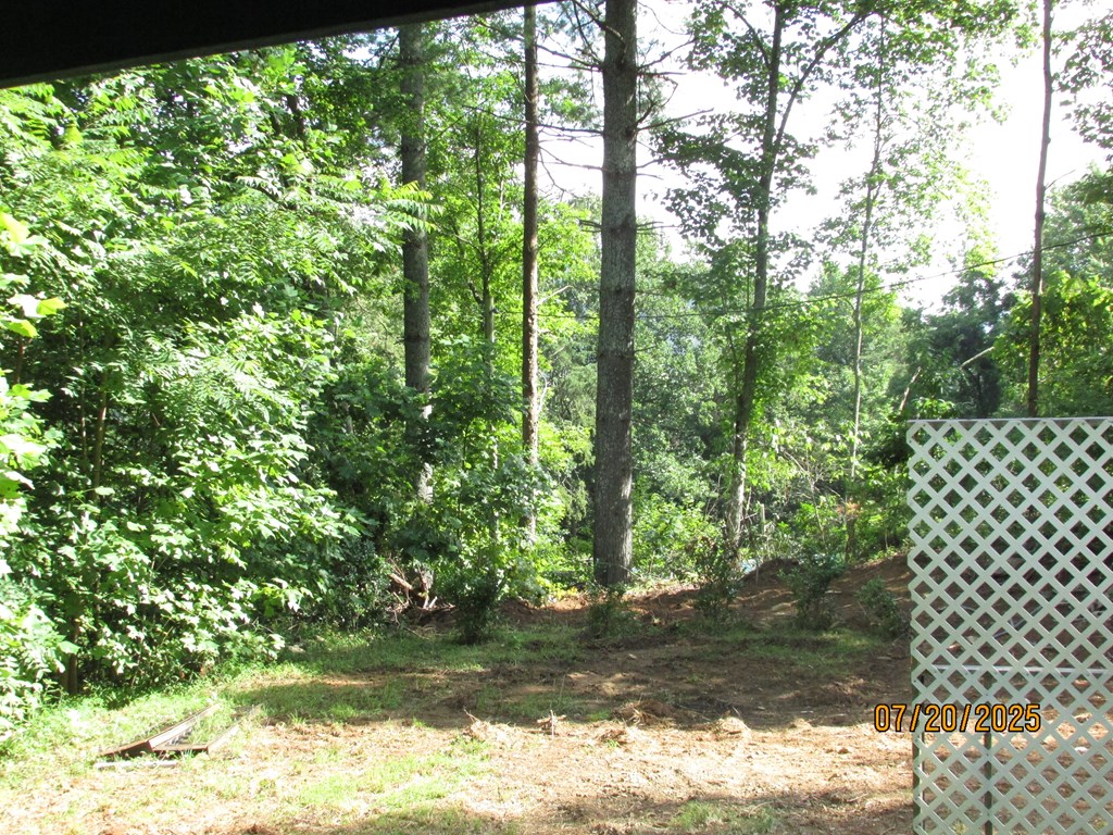 1444 Abe Cove Road Hiawassee, GA 30546 - Photo 23 of 25 a view of a yard with large trees