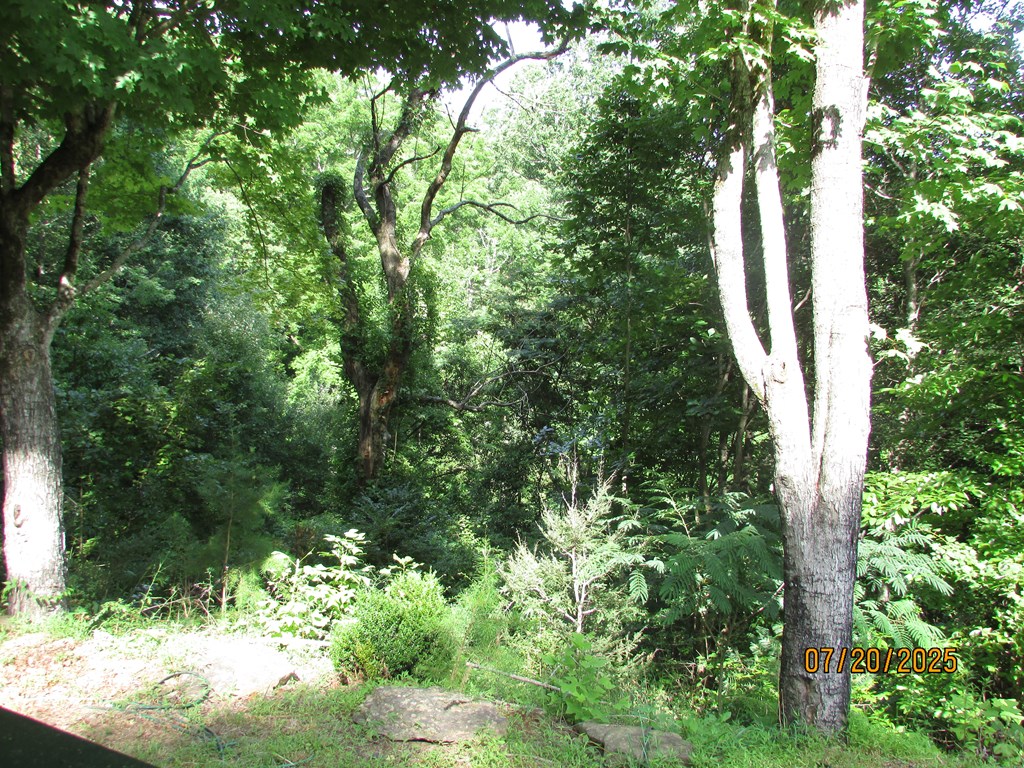 1444 Abe Cove Road Hiawassee, GA 30546 - Photo 24 of 25 a view of a garden with plants