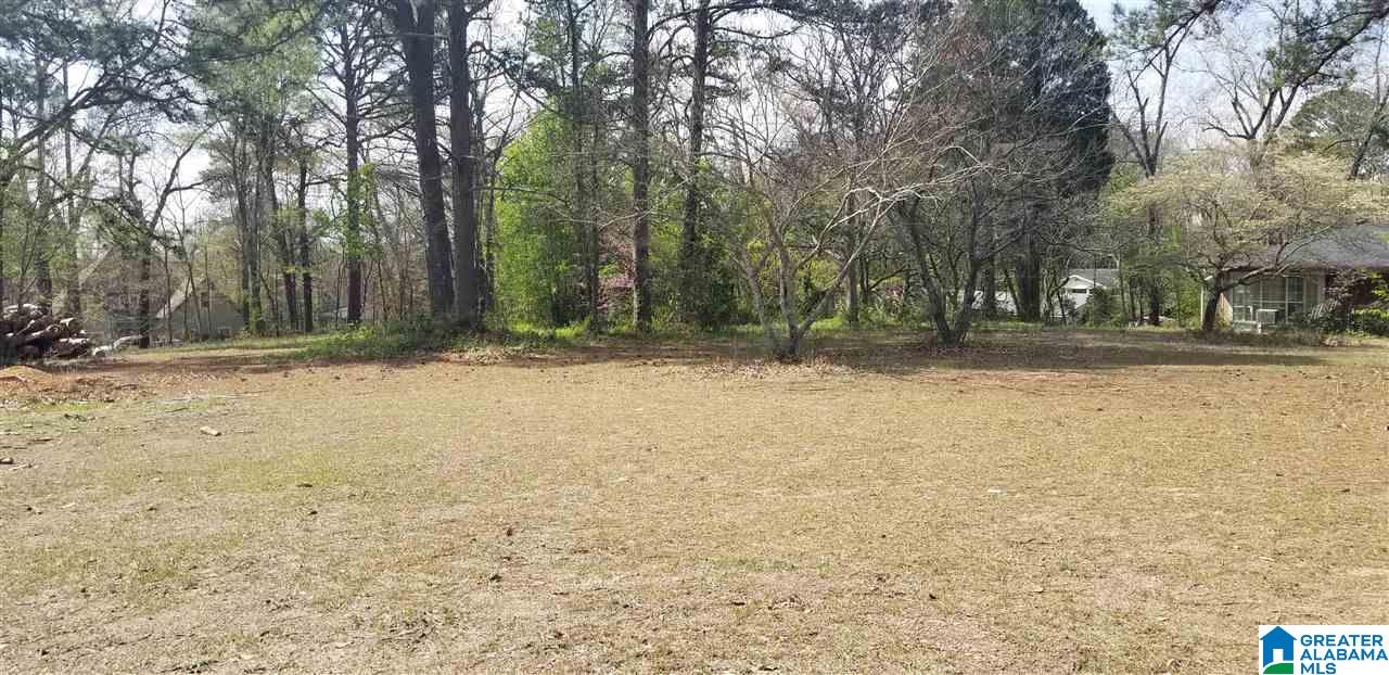 1113 Patton Chapel Road, Unit 3A Birmingham, AL 35226 - Photo 1 of 6
