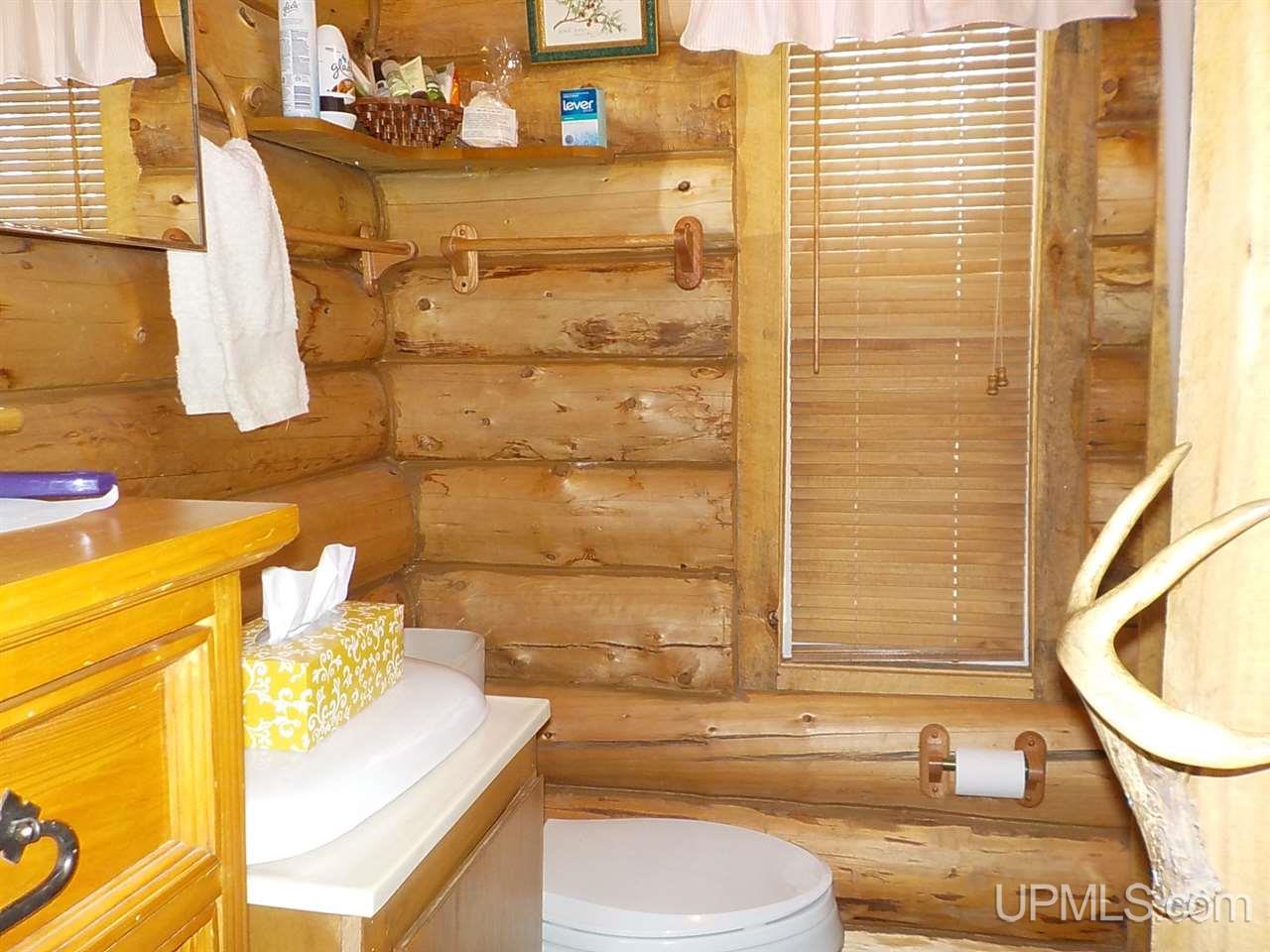 369 WPA Road Crystal Falls, MI 49920 - Photo 7 of 44