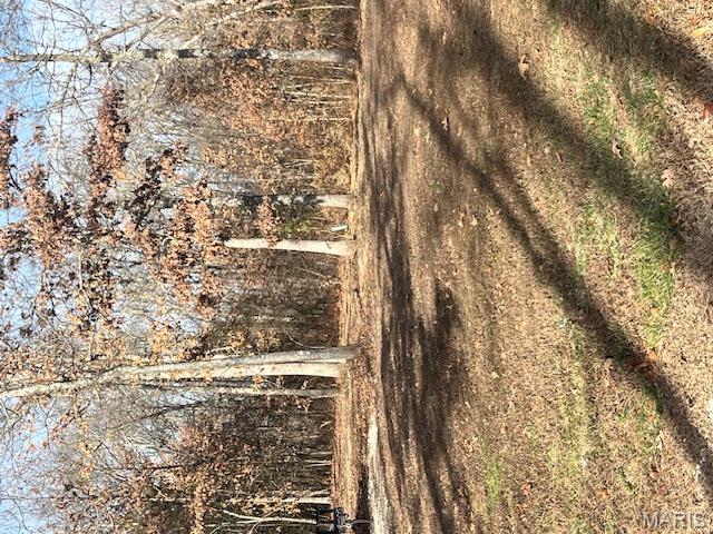 495 Greenbriar Road Leasburg, MO 65535 - Photo 21 of 32