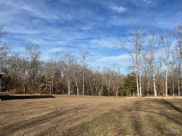 495 Greenbriar Road Leasburg, MO 65535 - Photo 22 of 32