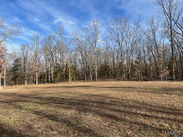 495 Greenbriar Road Leasburg, MO 65535 - Photo 23 of 32