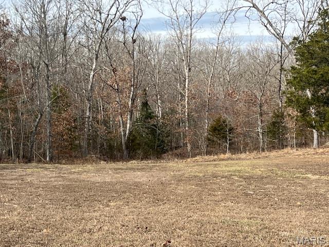 495 Greenbriar Road Leasburg, MO 65535 - Photo 27 of 32