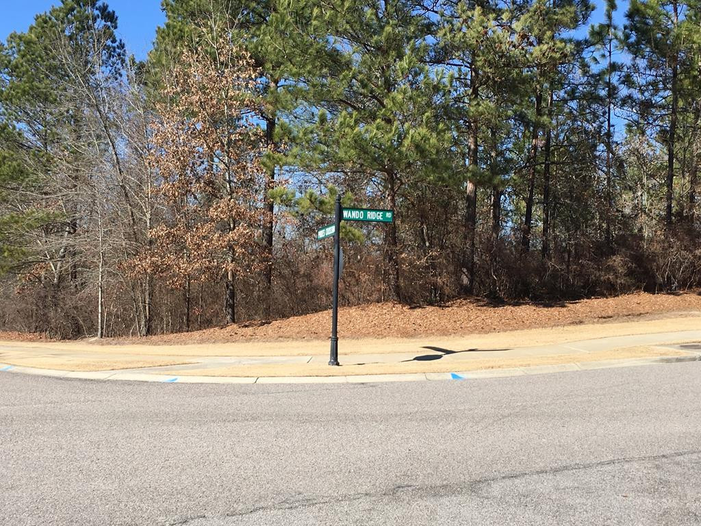 3022 White Gate Loop Aiken, SC 29801 - Photo 4 of 31