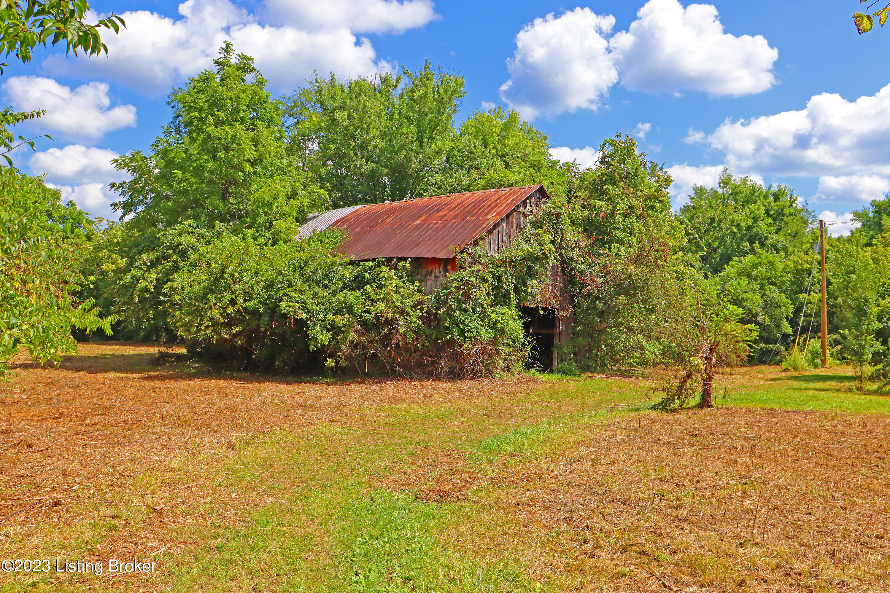 9006 River Road Turners Station, KY 40075 - Photo 14 of 39 Barn 1