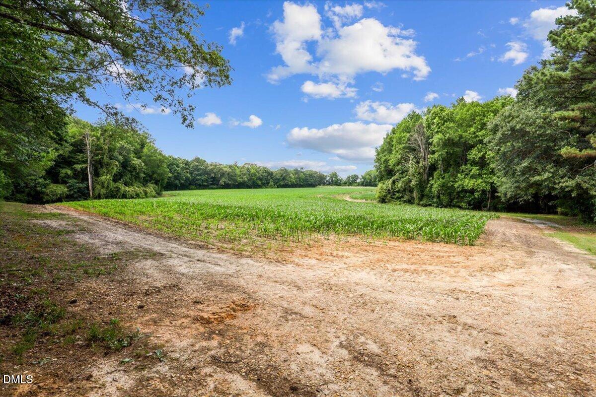 0 Antioch Church Road Middlesex, NC 27557 - Photo 14 of 26
