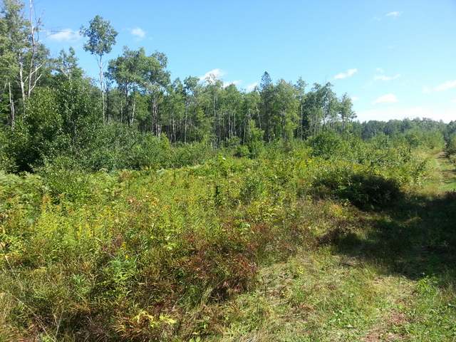 Off Buck Lane Harshaw, WI 54529 - Photo 19 of 20 Gallery Image 19