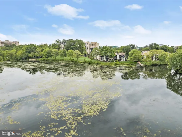 a view of a lake with houses in the background
