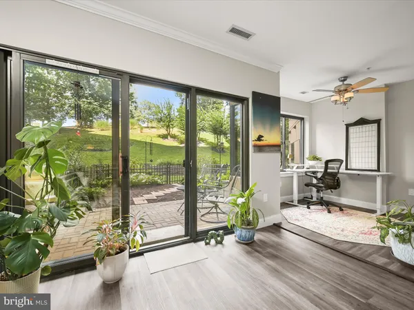 a living room filled with furniture and a potted plant