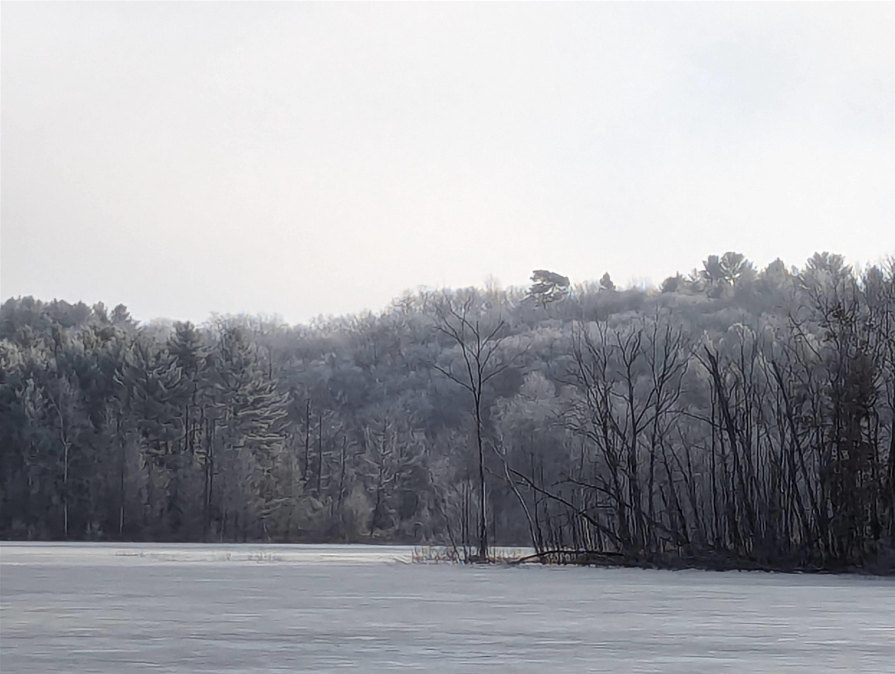 N3962 County Rd GG Hancock, WI 54943 - Photo 9 of 10