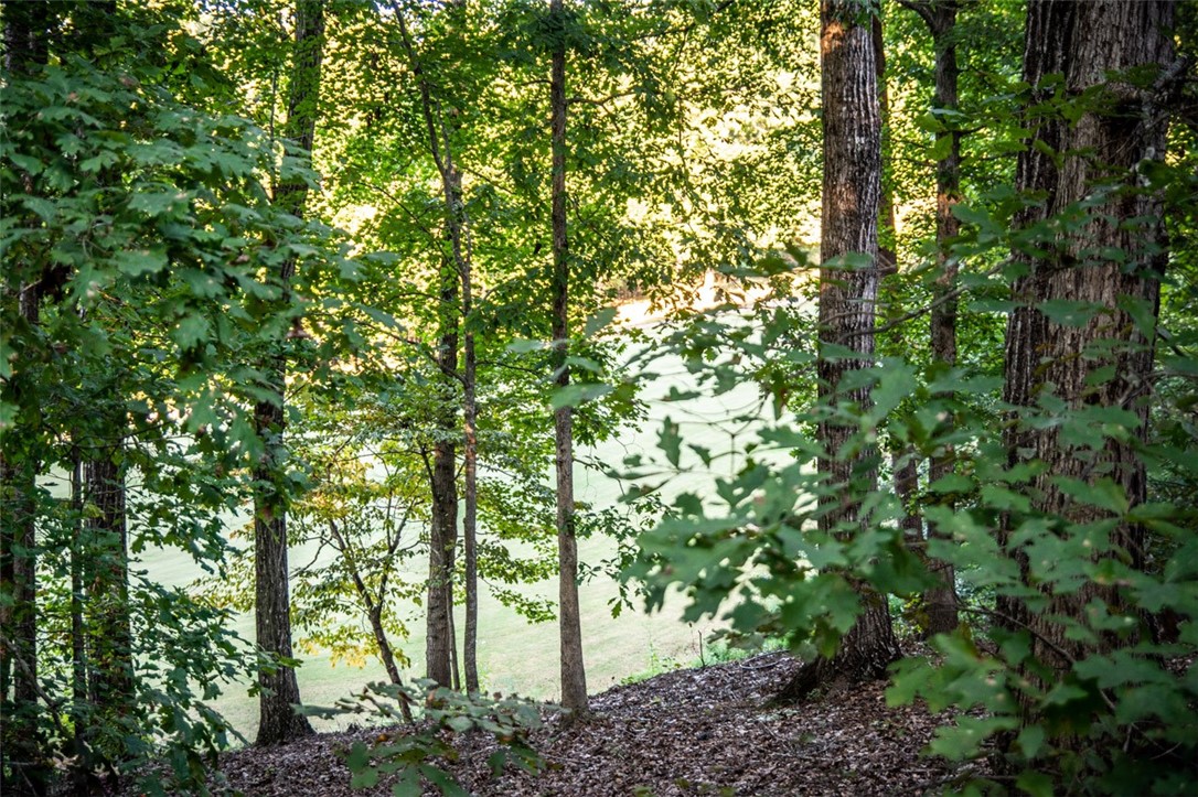 319 Nicklaus Road Westminster, SC 29693 - Photo 3 of 45 Gallery Image 3