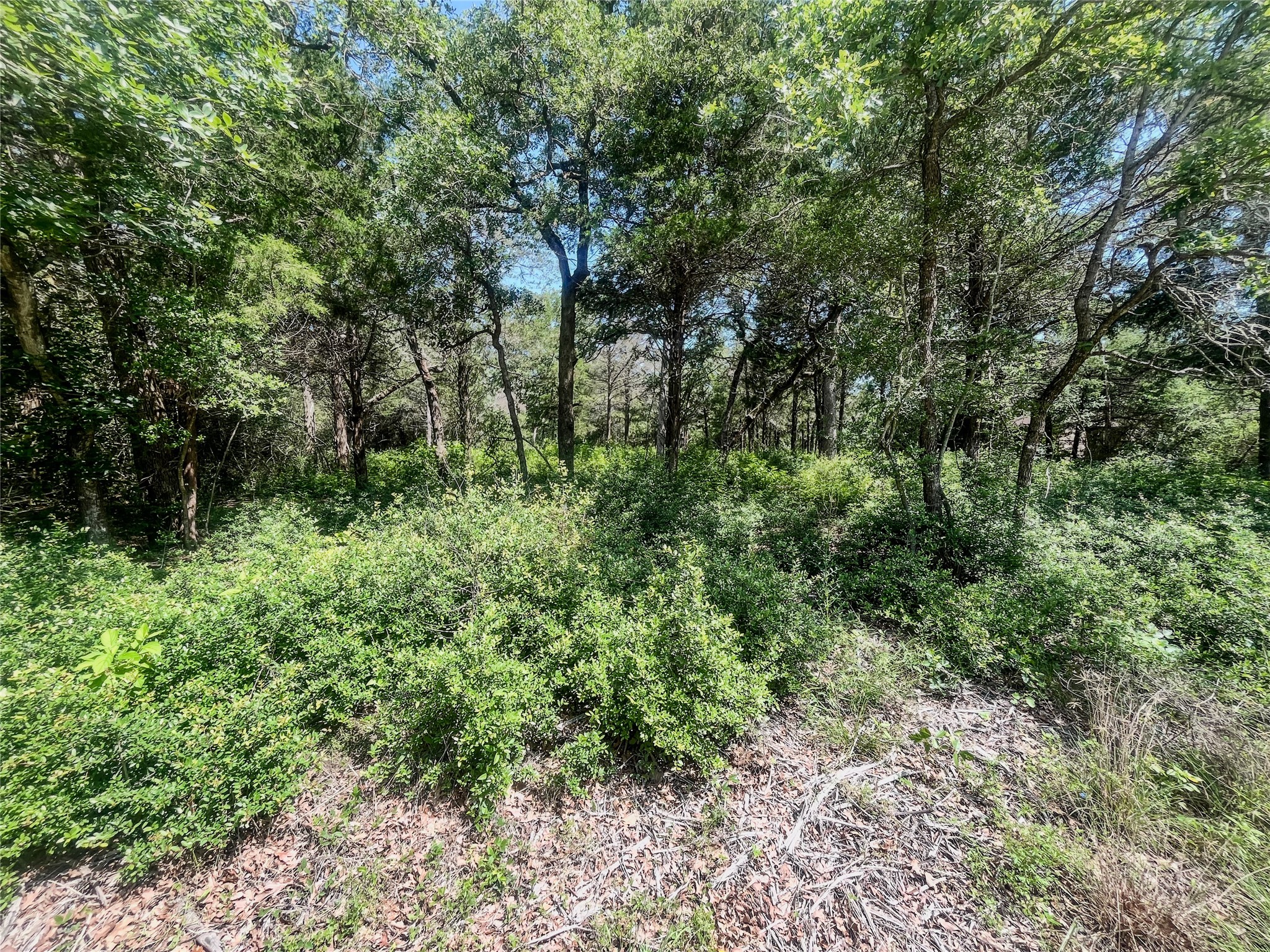 0 Phillips Street Lexington, TX 78947 - Photo 14 of 16