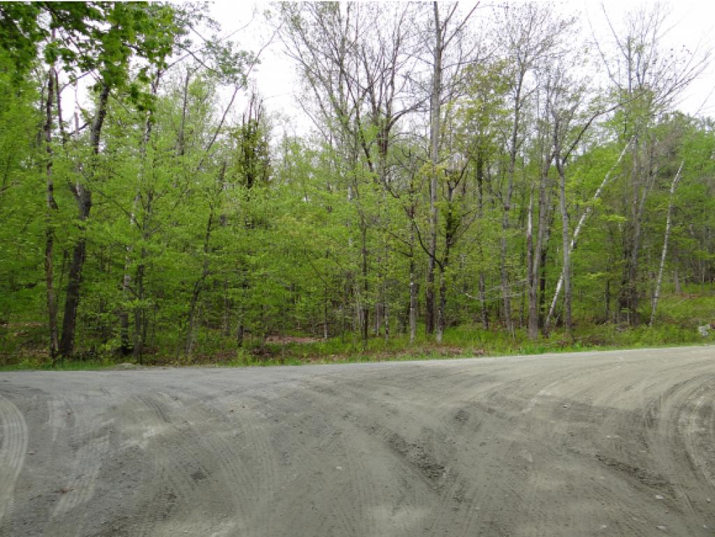 0 Rice Lane Enfield, NH 03748 - Photo 1 of 18 Gallery Image 1