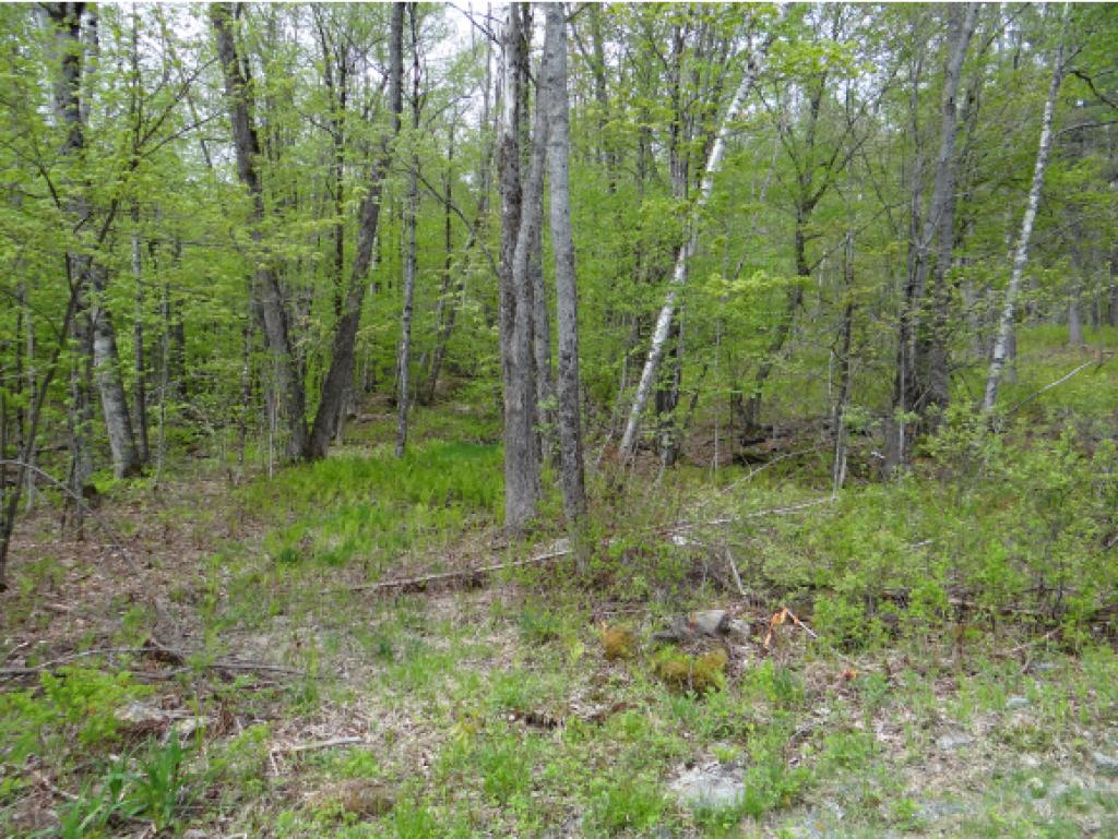 0 Rice Lane Enfield, NH 03748 - Photo 2 of 18 Gallery Image 2
