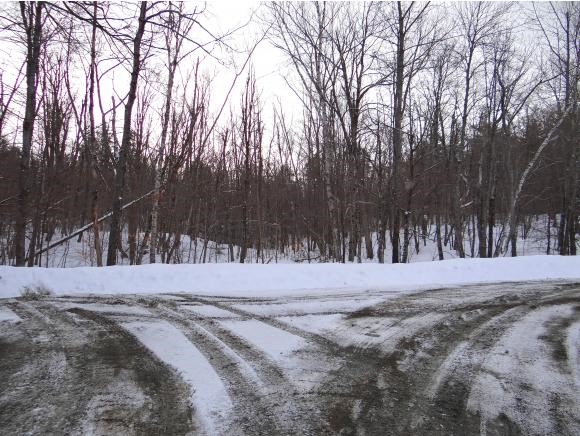0 Rice Lane Enfield, NH 03748 - Photo 11 of 18 Gallery Image 11