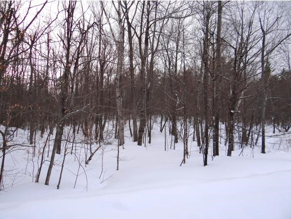 0 Rice Lane Enfield, NH 03748 - Photo 12 of 18 Gallery Image 12