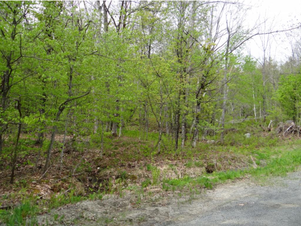 0 Rice Lane Enfield, NH 03748 - Photo 3 of 18 Gallery Image 3
