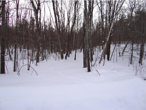0 Rice Lane Enfield, NH 03748 - Photo 9 of 18 Gallery Image 9