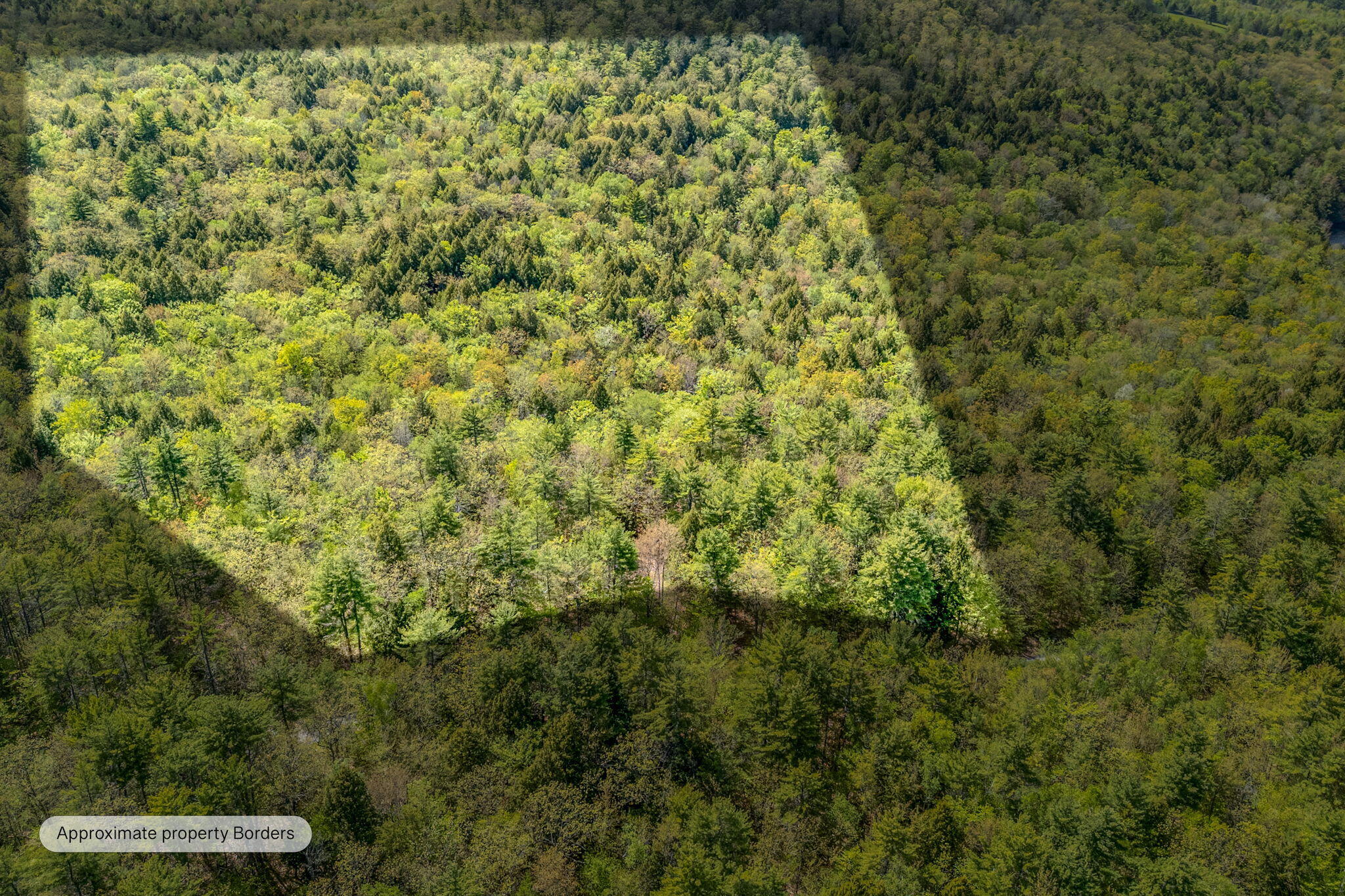 158 Rocky Road Otisfield, ME 04270 - Photo 3 of 23 1-web-or-mls-158-rocky-rd