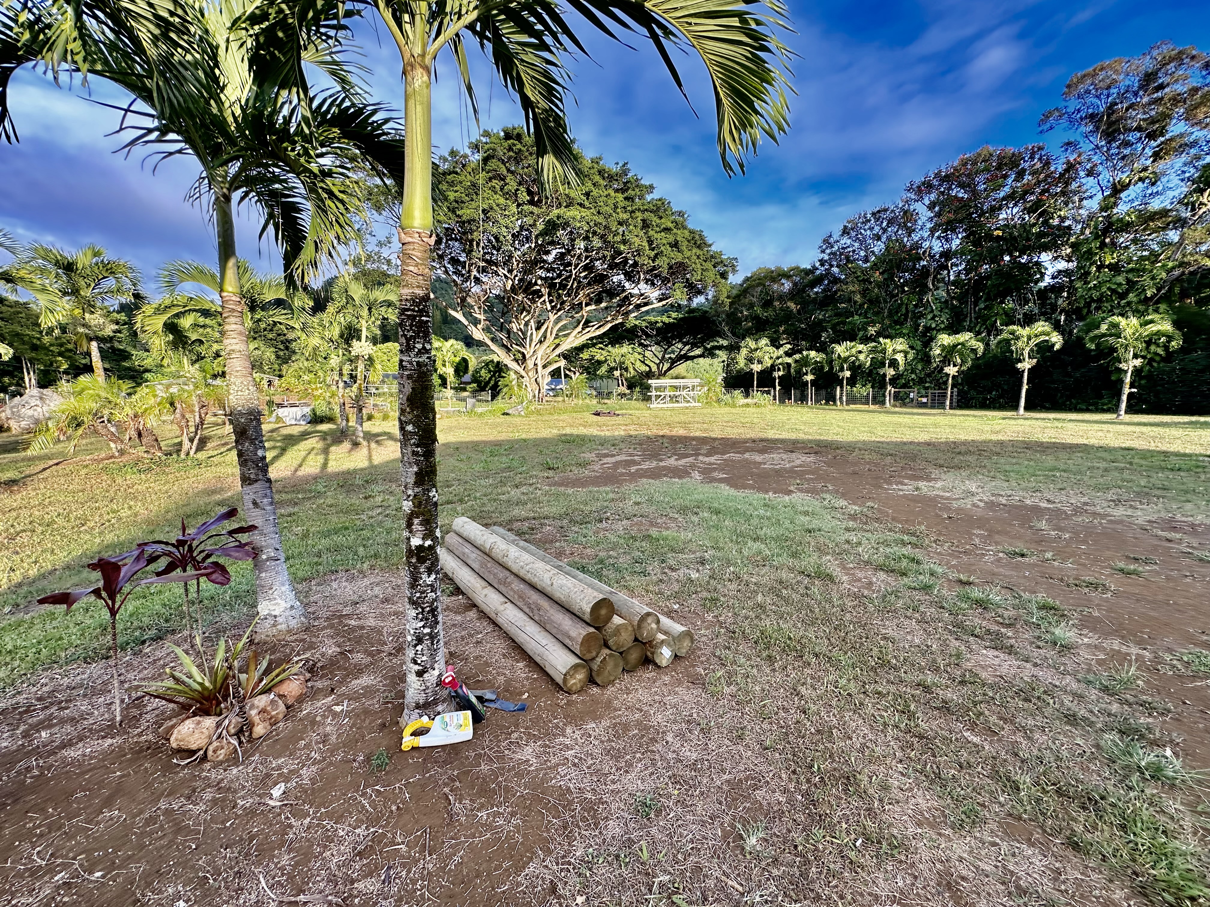 850 A Kamalu Road Kapaa, HI 96746 - Photo 7 of 18 Gallery Image 7