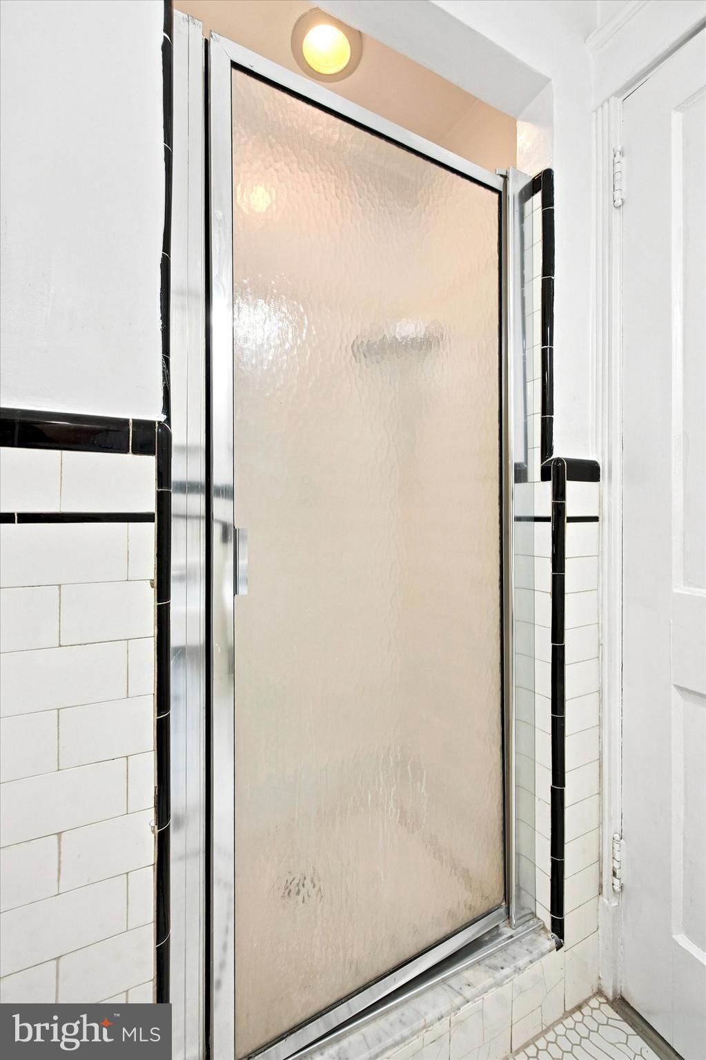 3433 West Penn Street Philadelphia, PA 19129 - Photo 23 of 31 Full Bathroom Shower