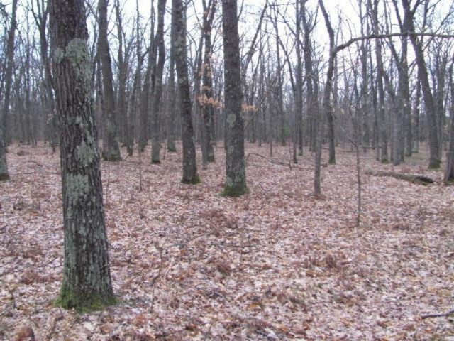 Brooks Road, Unit B Irons, MI 49644 - Photo 2 of 7 Additional Photo