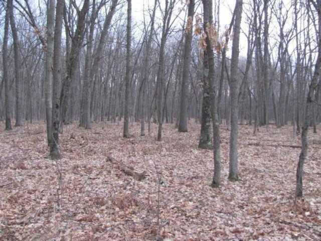 Brooks Road, Unit B Irons, MI 49644 - Photo 4 of 7 Additional Photo