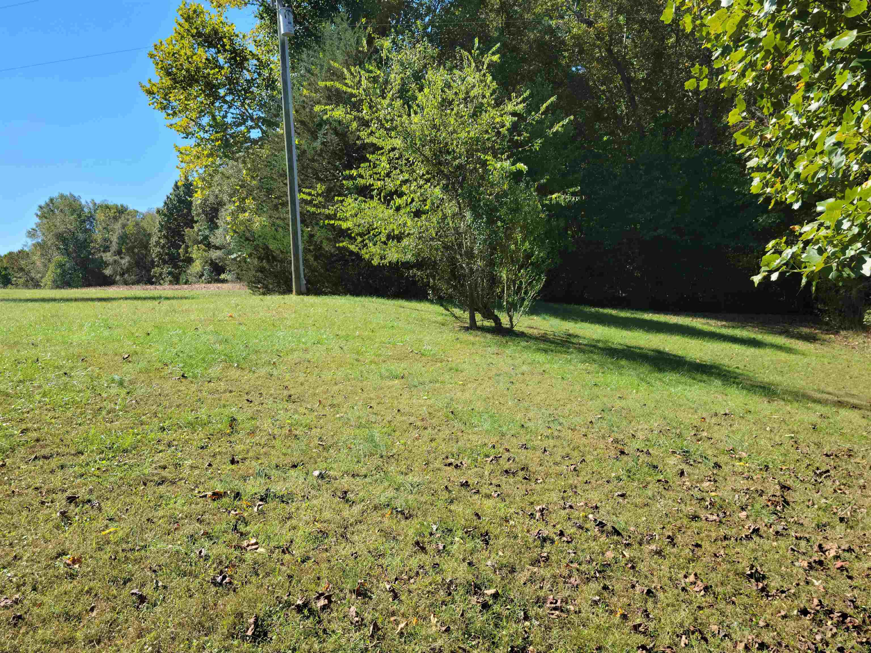 93 Terapin Slide Road Staley, NC 27355 - Photo 20 of 21 Photo 20