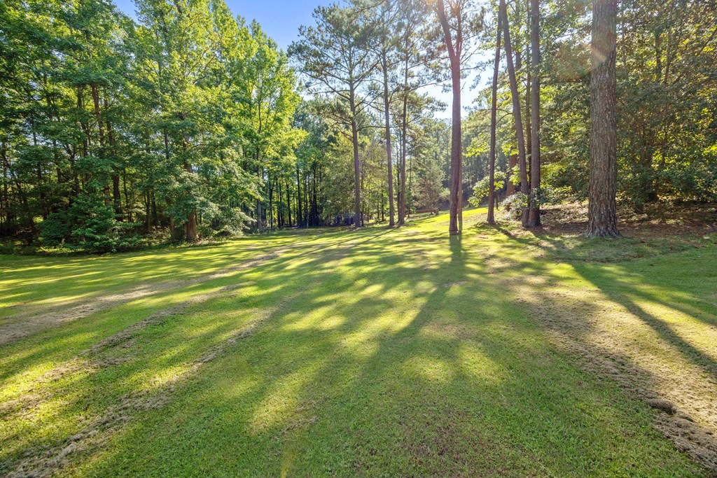 8100 Warm Springs Road Midland, GA 31820 - Photo 46 of 75 Gallery Image 46