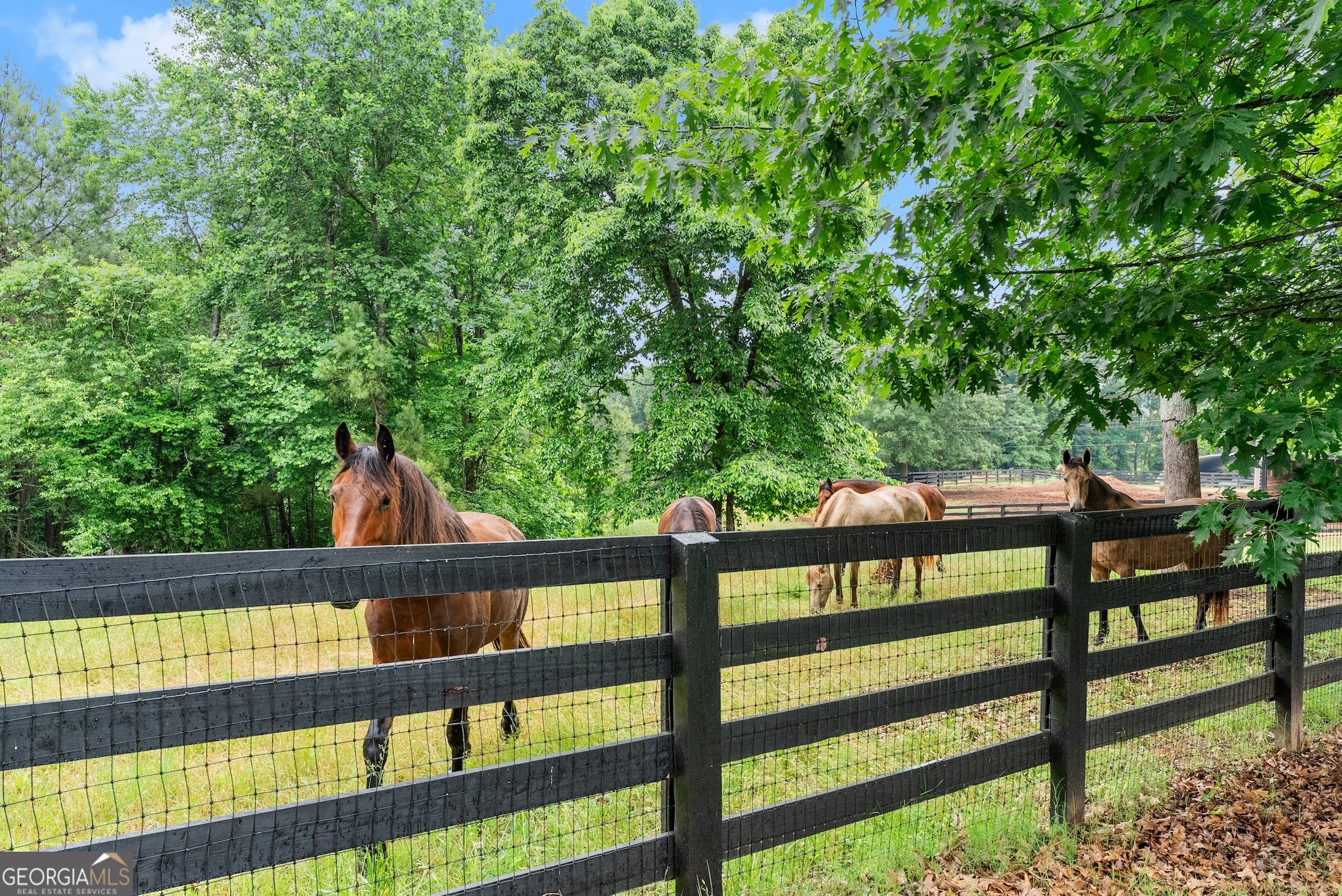 7215 Kelly Bridge Road Dawsonville, GA 30534 - Photo 55 of 87 a view of a bench in the river