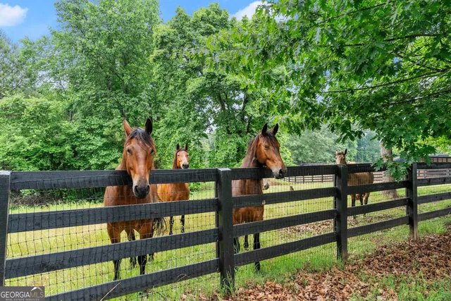 $2,669,000 | 7215 Kelly Bridge Road, Dawsonville, GA 30534