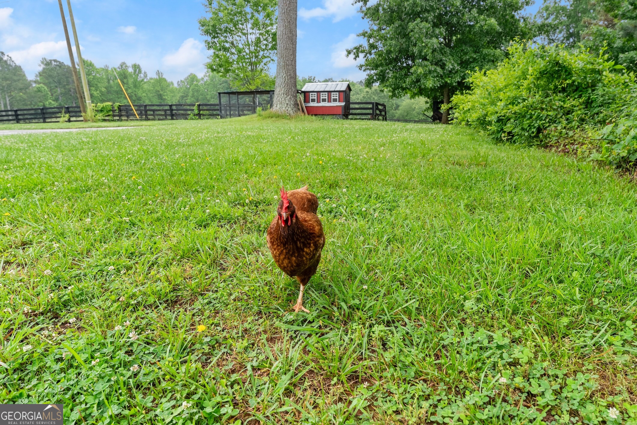 7215 Kelly Bridge Road Dawsonville, GA 30534 - Photo 58 of 87