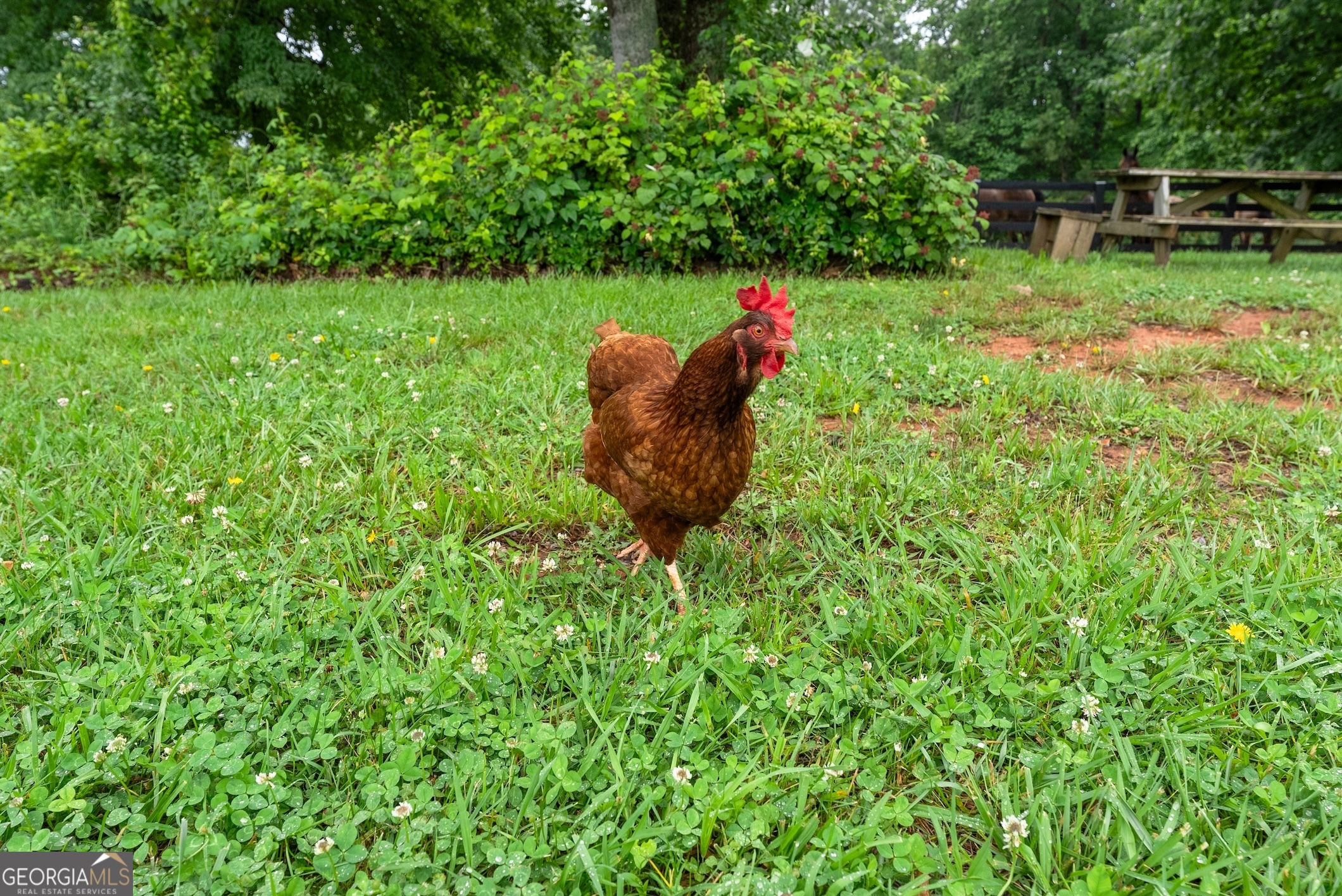 7215 Kelly Bridge Road Dawsonville, GA 30534 - Photo 59 of 87 a view of a backyard with table and chairs and wooden fence