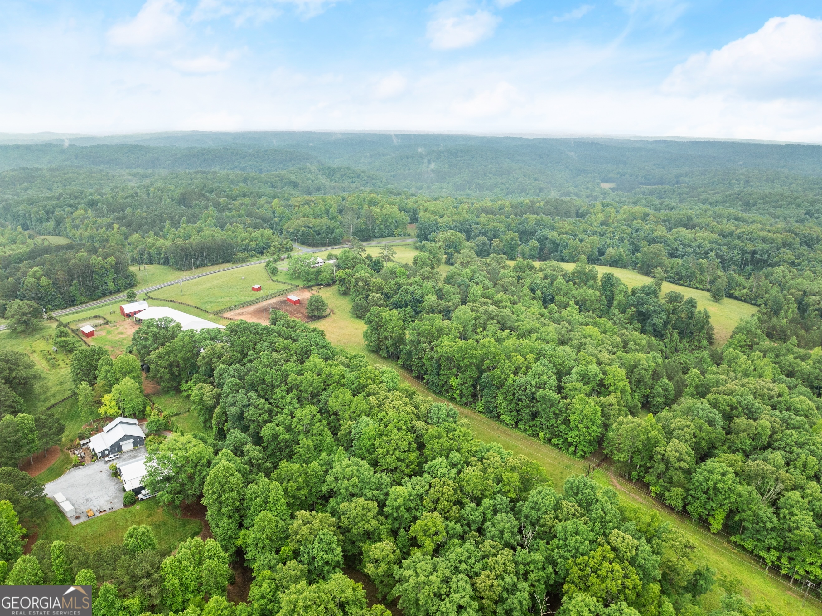 7215 Kelly Bridge Road Dawsonville, GA 30534 - Photo 82 of 87 a view of a green field with lots of bushes