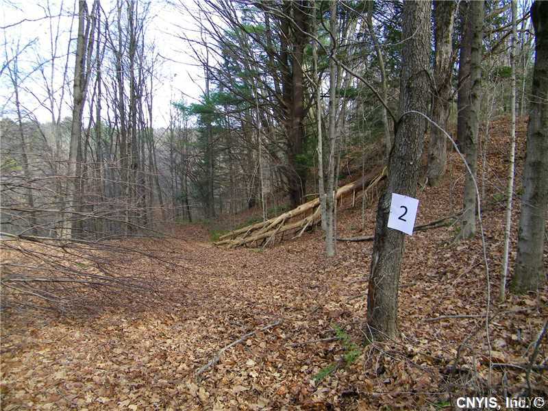 Lot #2 Buell Road Hastings, NY 13076 - Photo 1 of 3 Gallery Image 1