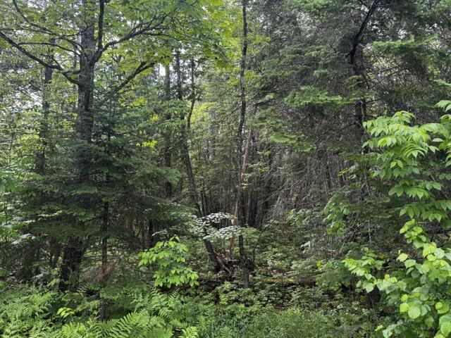 44 Dore Hill Road Athens, ME 04912 - Photo 5 of 5