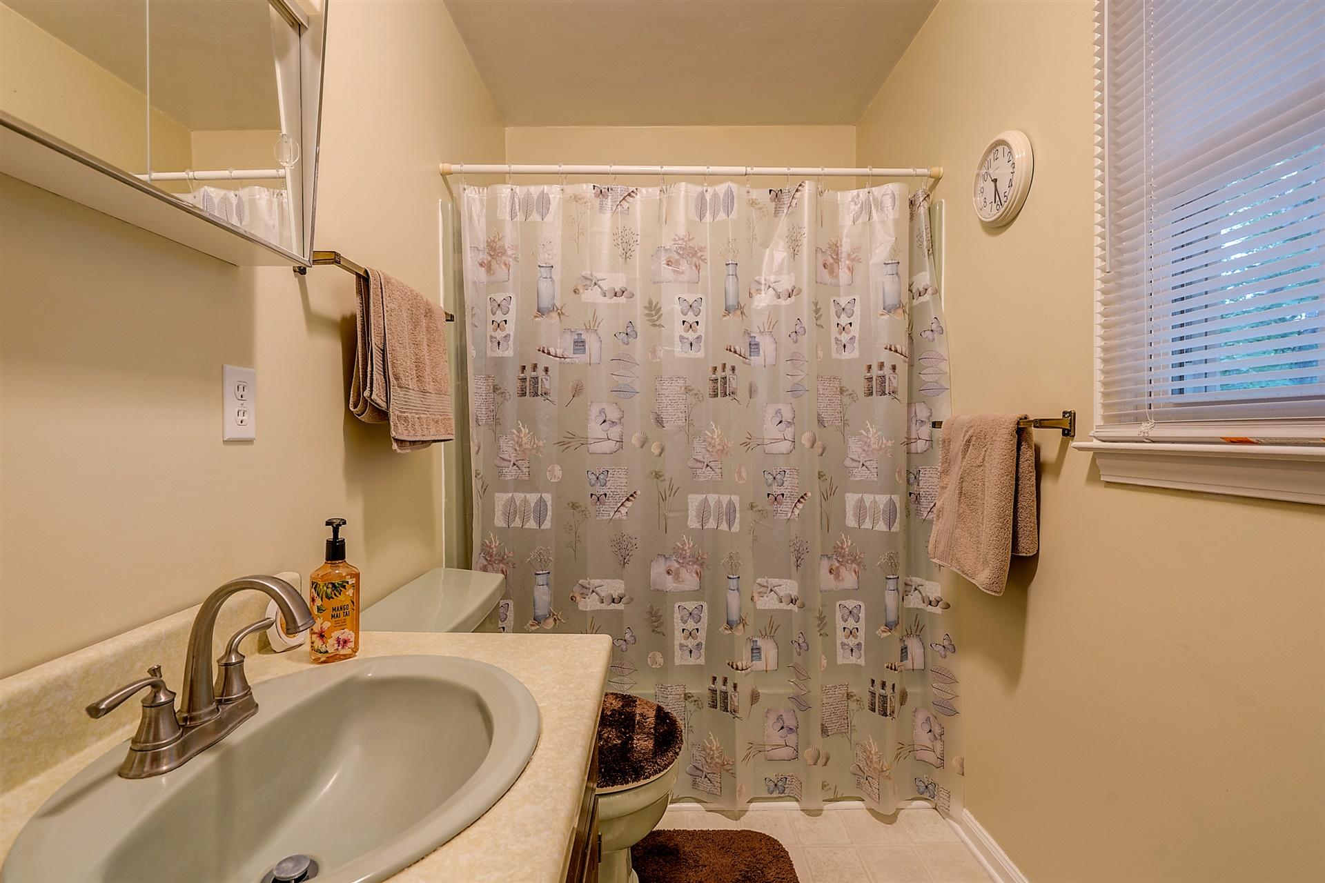 5960 Goodview Road Goodview, VA 24095 - Photo 15 of 38 a bathroom with a sink a toilet and shower