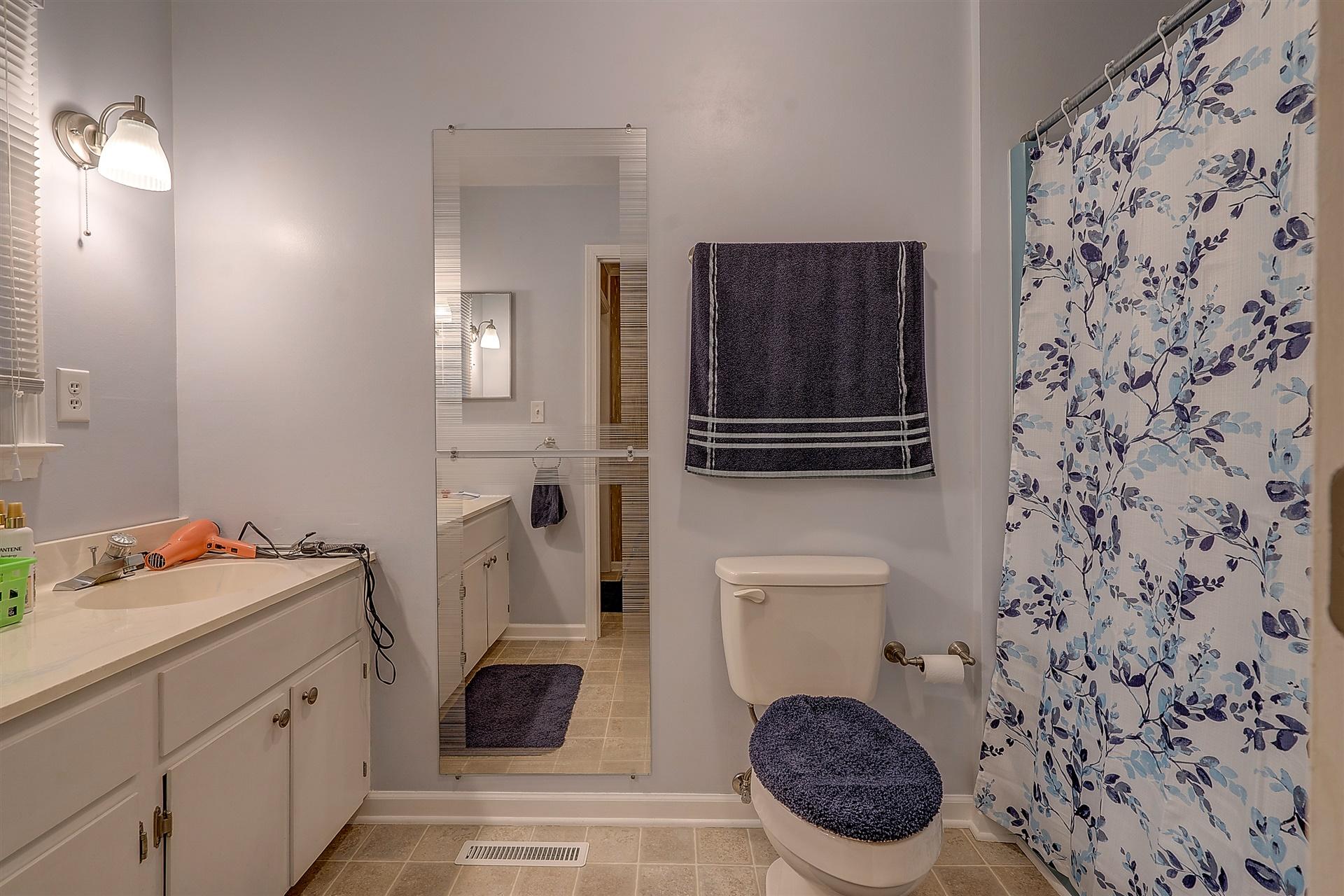 5960 Goodview Road Goodview, VA 24095 - Photo 19 of 38 a bathroom with a toilet a sink and a shower