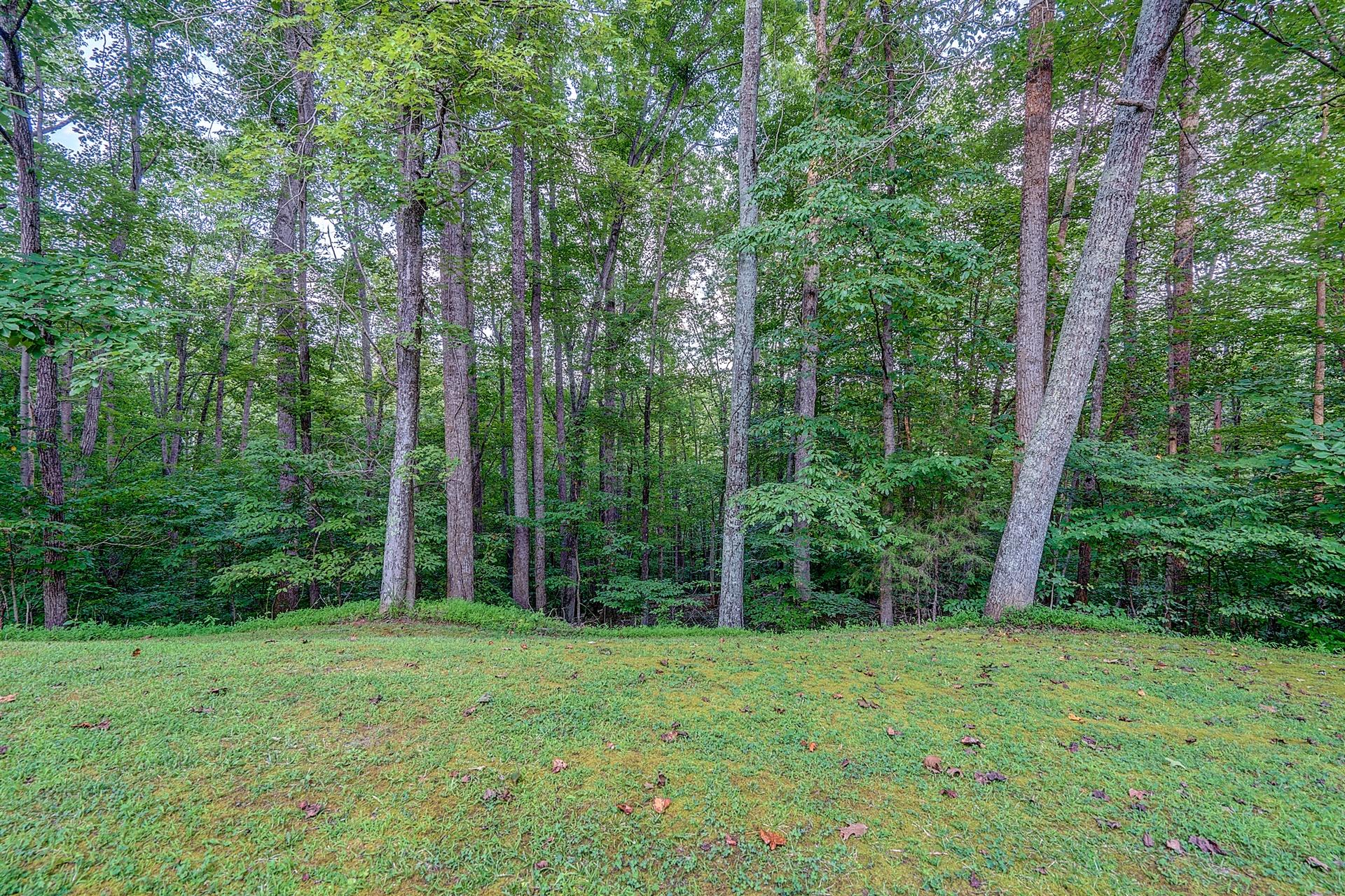 5960 Goodview Road Goodview, VA 24095 - Photo 35 of 38 a view of lush green forest