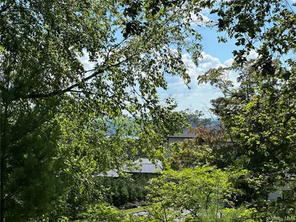 a view of yard with green space