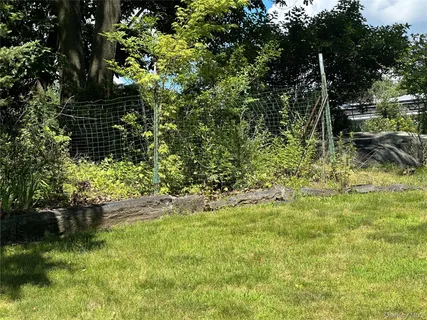 a view of a yard with plants